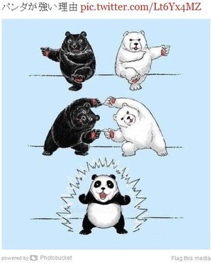 panda-fusion